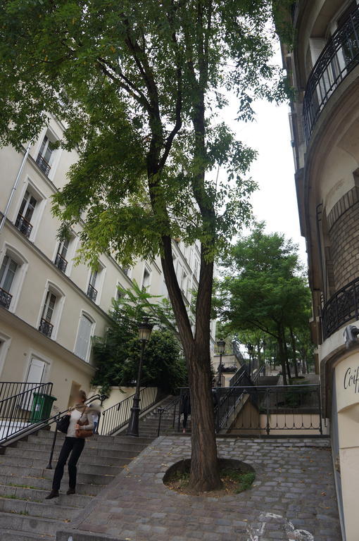 德查姆阿蒙马特一室公寓 巴黎 外观 照片
